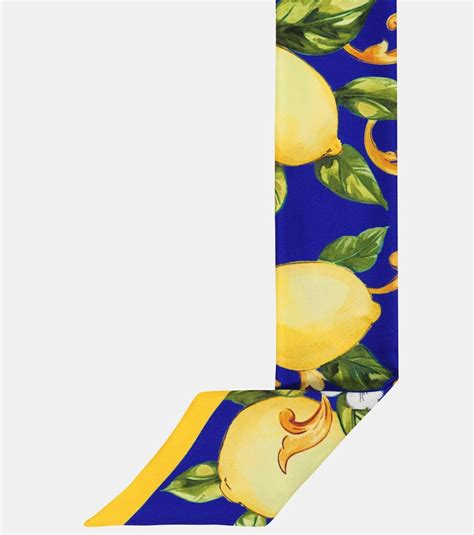 Secure Payment Dolce & Gabbana Scarf